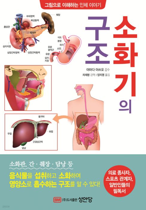 간 소엽 구조