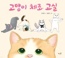 고양이 체조 교실